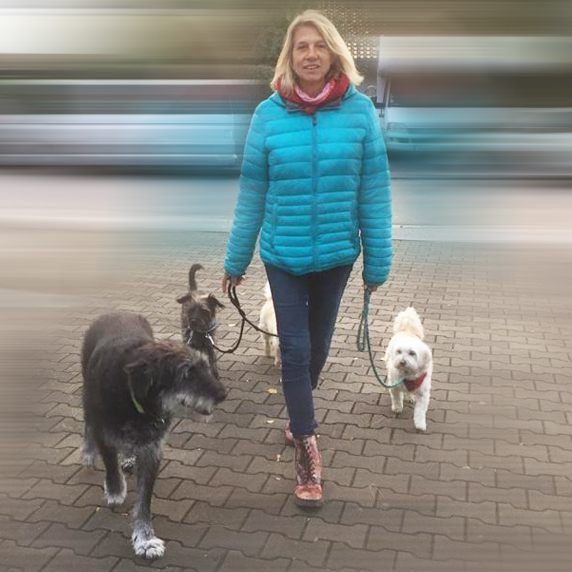 Problemhundetraining Be just Dog in Weilheim i. Ob